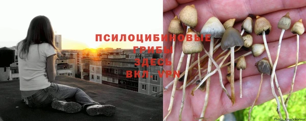 амф Нефтегорск