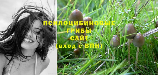 амф Нефтегорск