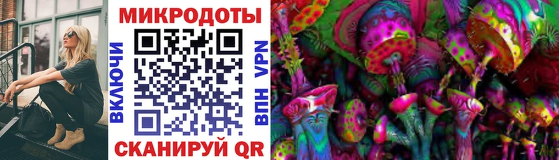 Галлюциногенные грибы MAGIC MUSHROOMS  где можно купить наркотик  Назрань 